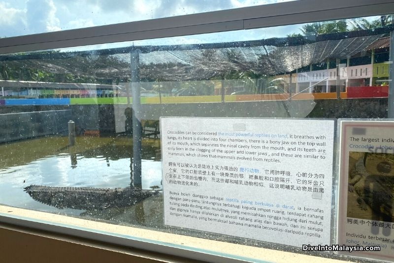 Teluk Sengat Crocodile Farm Information board