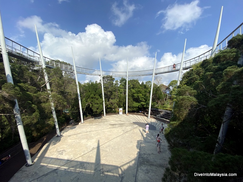 The Habitat Penang Hill Tree Top walk