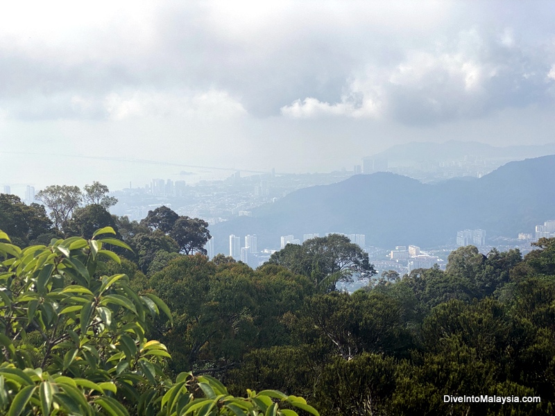 The Habitat Penang Hill view of George Town from the Tree Top walk