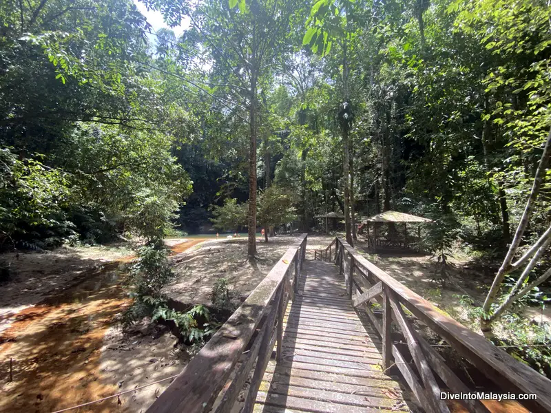 Lambir Hills National Park Miri Latak Waterfall