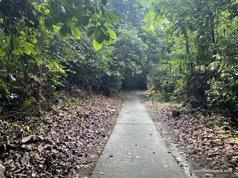 The start of the walk to Niah Caves