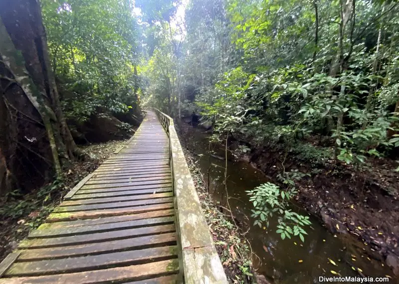 Typical part of the trail in Niah Caves National Park