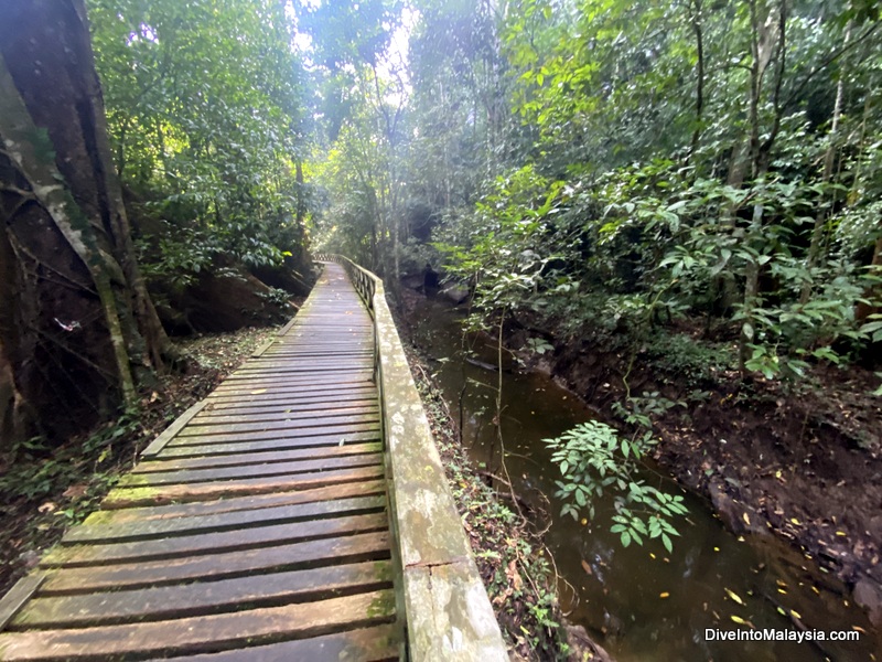 Typical part of the trail in Niah Caves National Park