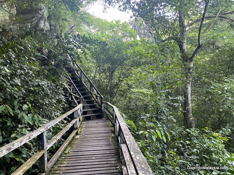 Niah Caves Stairs up to Traders' Cave