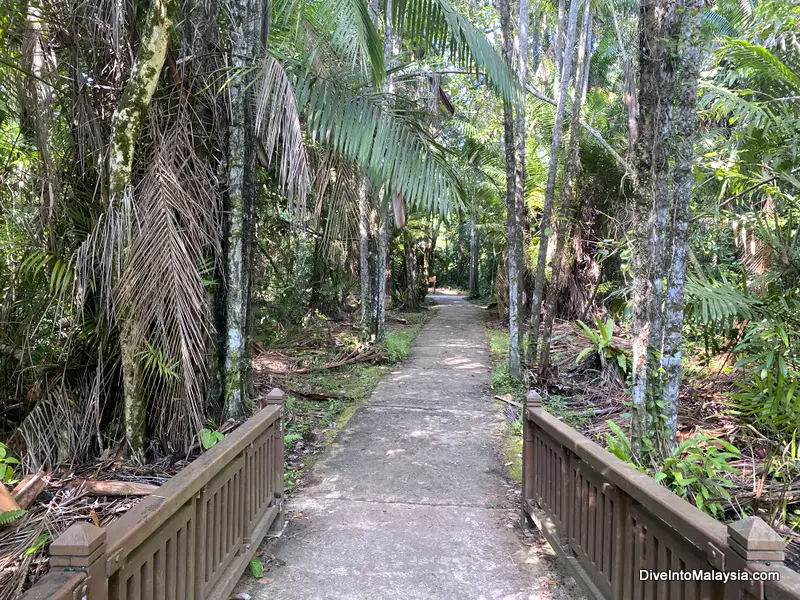 Bako National Park path to headquarters