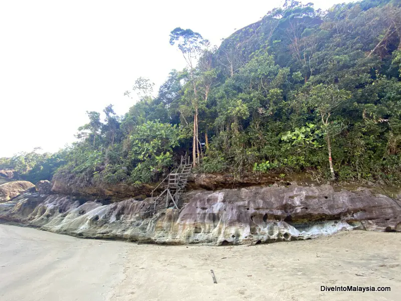 Bako National Park Telok Pandan Kecil trail from beach