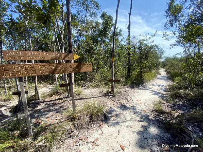 Bako National Park Telok Pandan Besar Trail