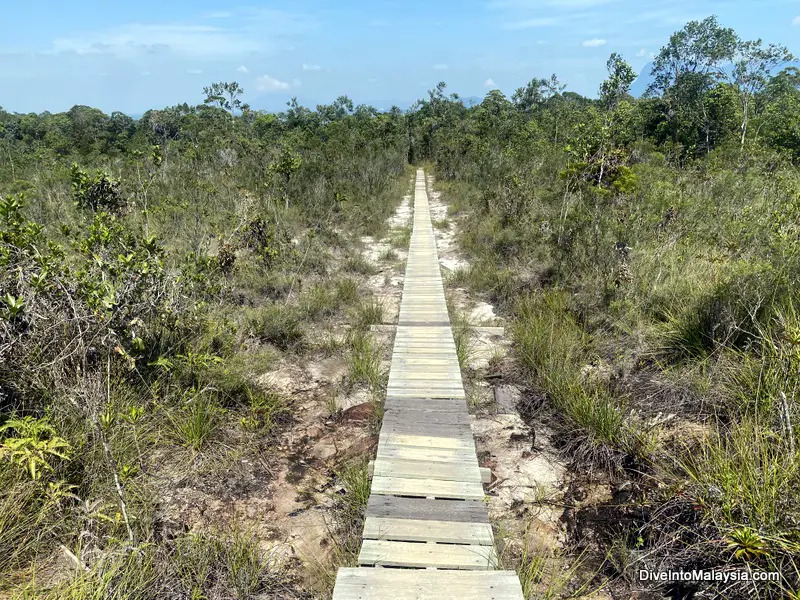 Bako National Park Telok Pandan Kecil trail