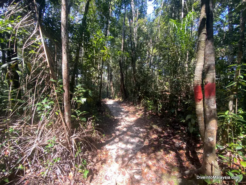 Bako National Park Telok Pandan Kecil trail