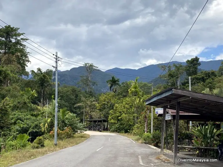 Mulu Airport To Mulu National Park malaysiauncovered.com