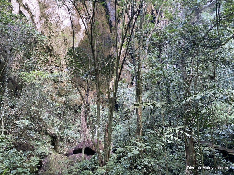 Mulu Caves Walking up to the entrance to Deer Cave