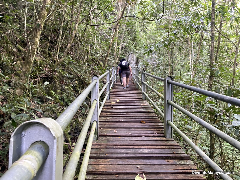 The inclined ramp up to Wind Cave Mulu