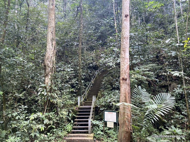 200 steps up to Clearwater Cave Mulu