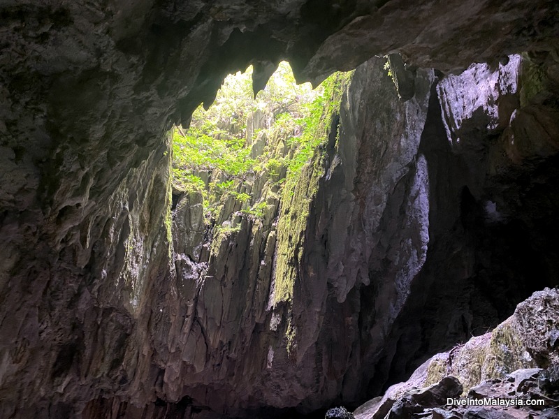 Clearwater Cave Mulu