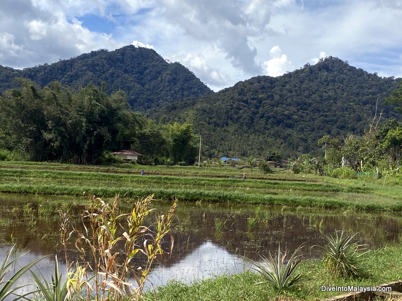 Beautiful surroundings in Bario Kelabit Highlands