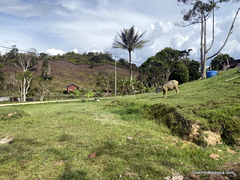 Exploring Bario