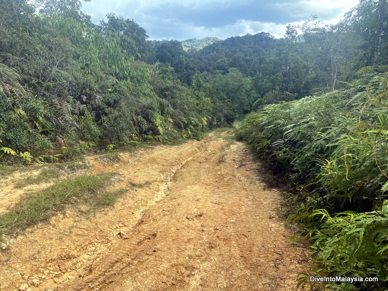 Path to salt lick kelabit highlands