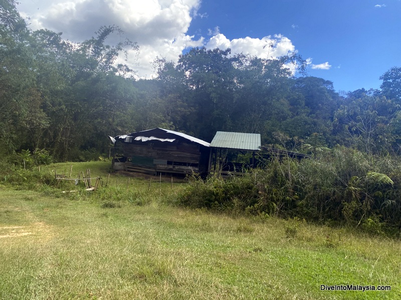 Salt lick Kelabit highlands