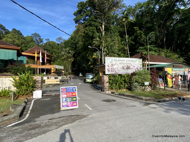 Semenggoh Wildlife Centre entry