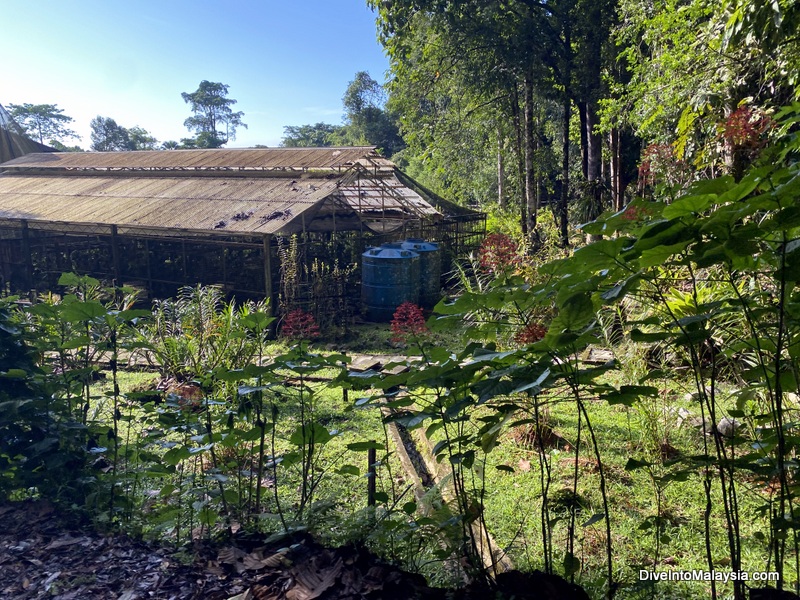 Semenggoh Wildlife Centre Botanical Research Centre