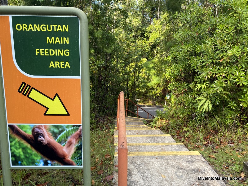 Semenggoh Wildlife Centre The walk to the platforms after exiting the electric buggies