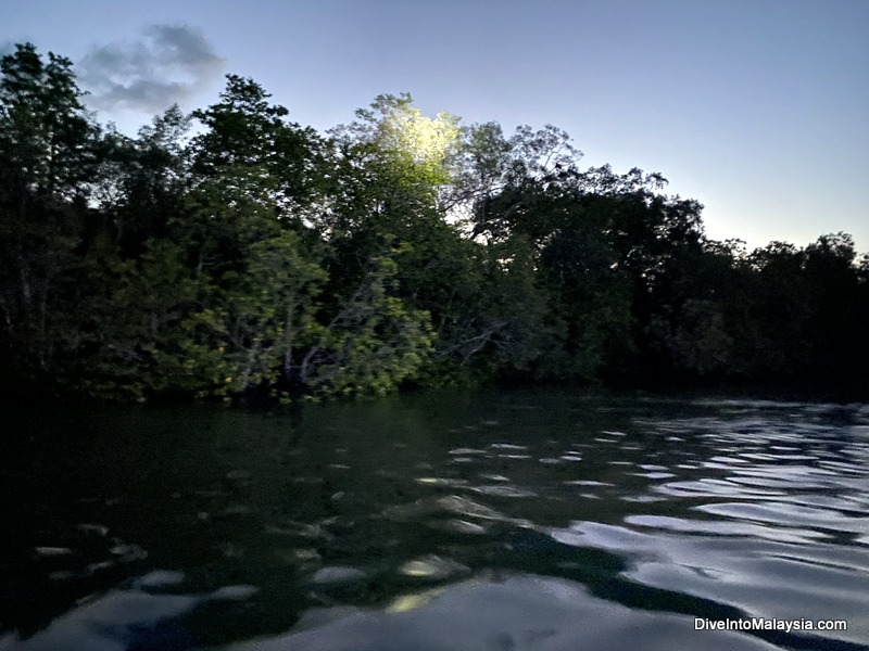 Santubong Wildlife Cruise Spotting wildlife at night