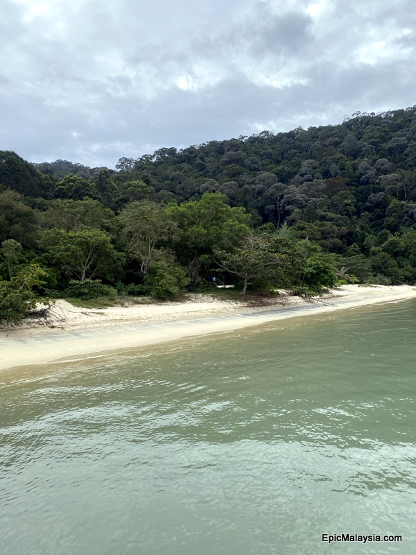 Penang National Park Pantai Kerachut