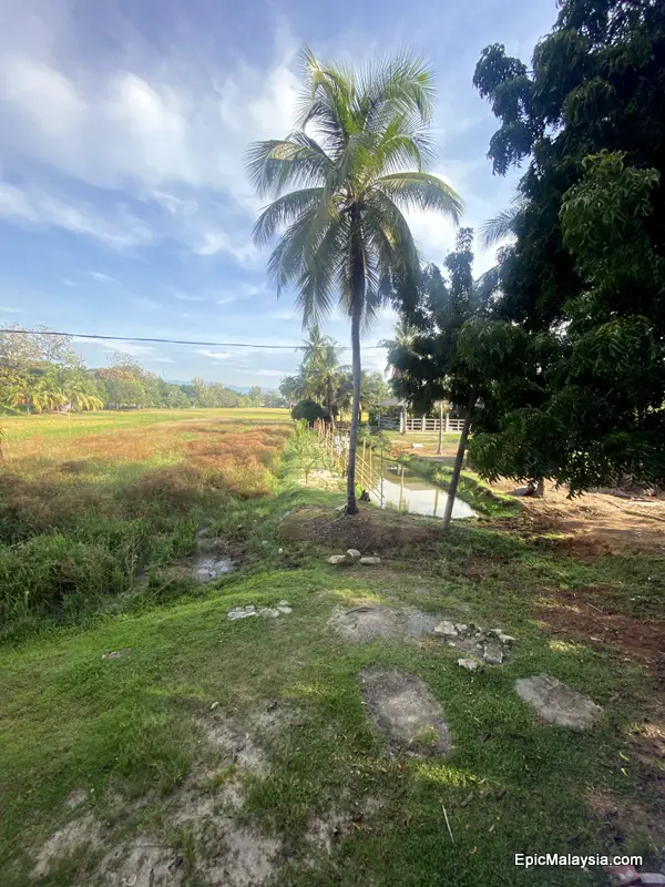 Laman Padi Langkawi